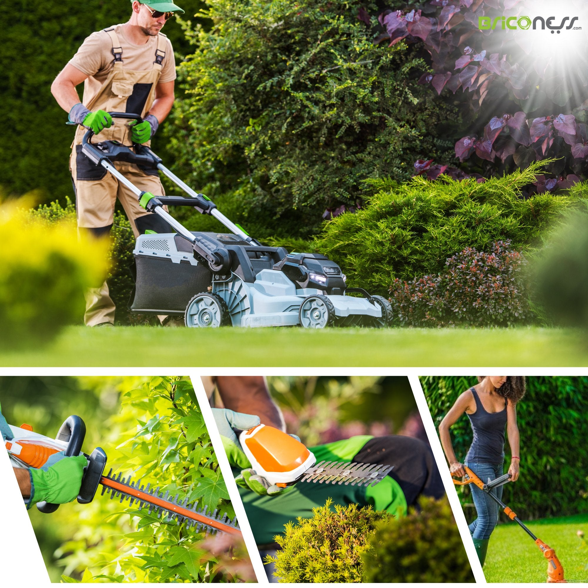 Attrezzi elettrici per giardinaggio ed agricoltura