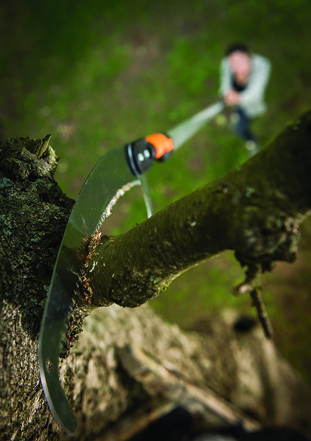 Scie à branches courbes compatible avec manche télescopique FISKARS