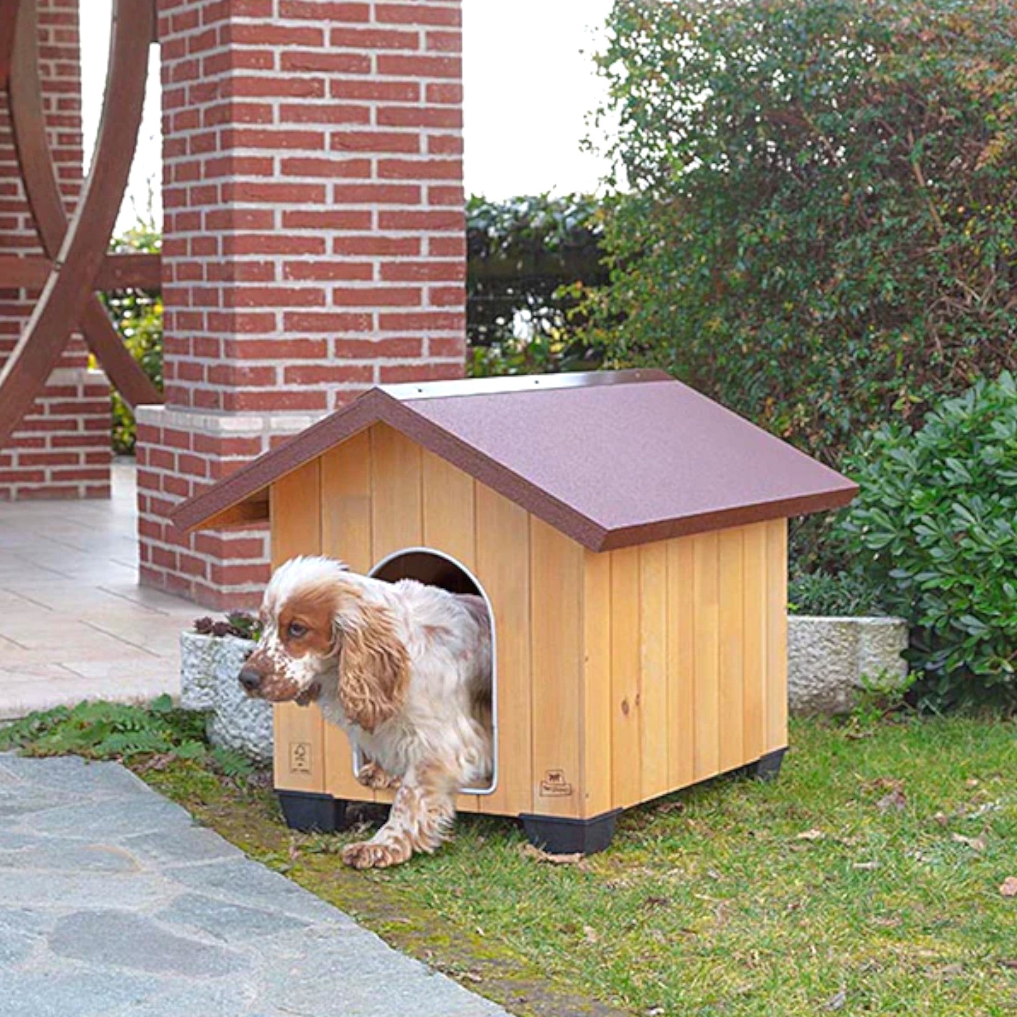 Niche surélevée en bois de pin pour chien de taille moyenne avec toit incliné étanche et grille d'aération