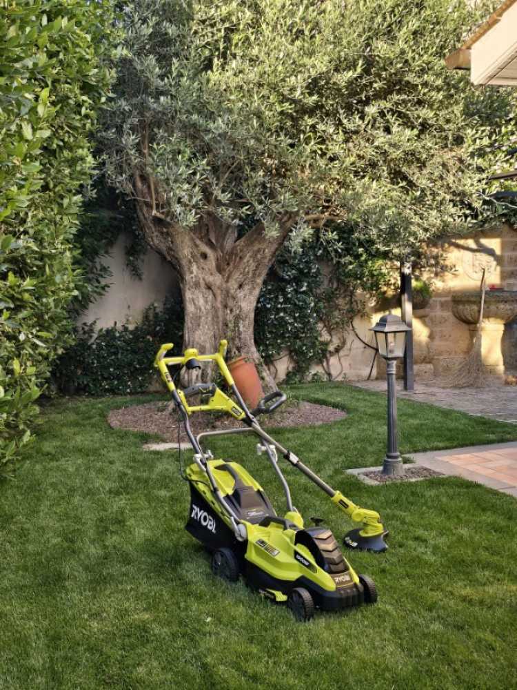 RLM15E 36h Tondeuse à gazon électrique poussée Ryobi 1500 watts avec réglage de la hauteur de coupe de 36 cm