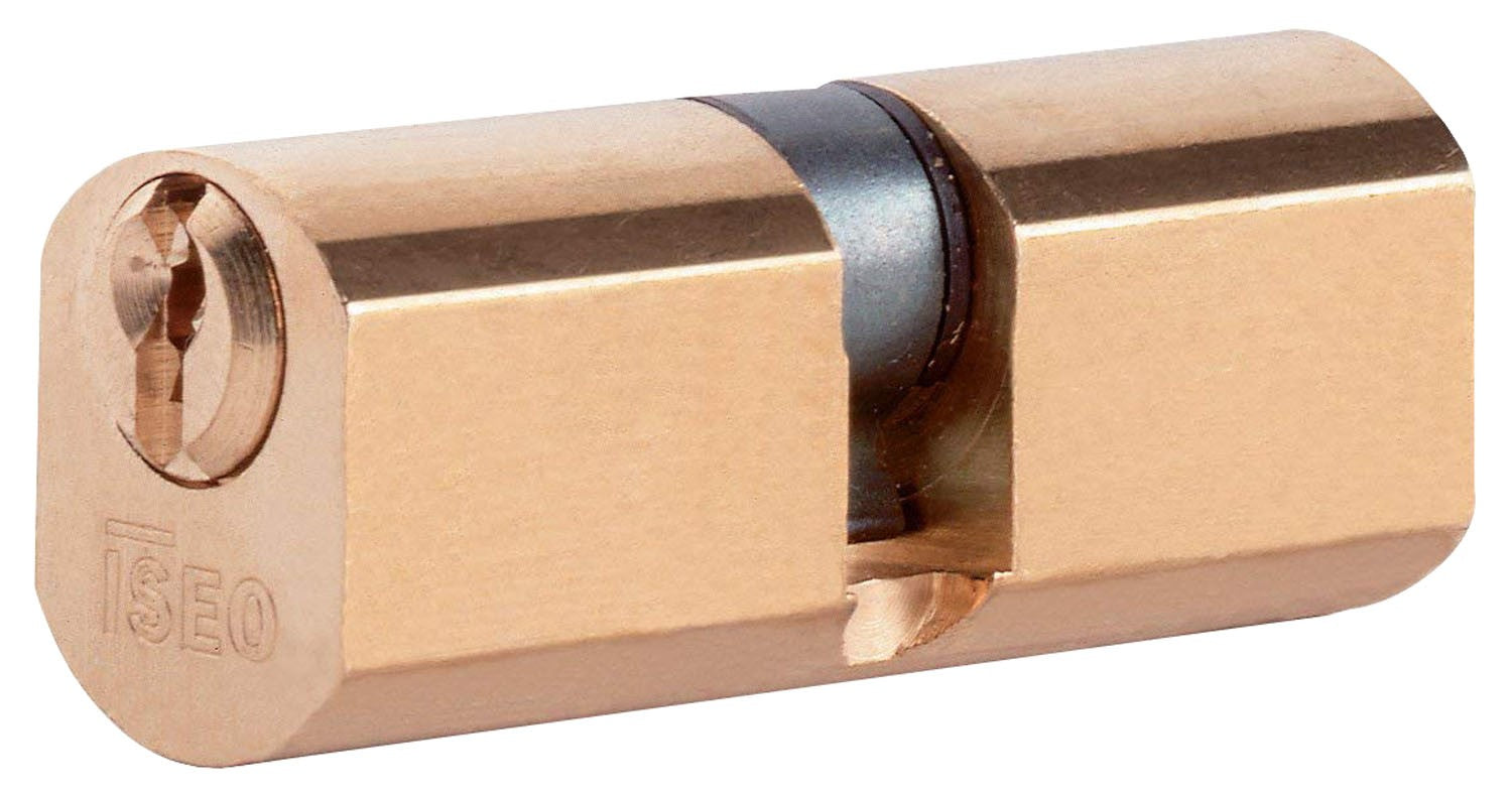 Cylindre à facettes 22 mm Iseo art 840027277