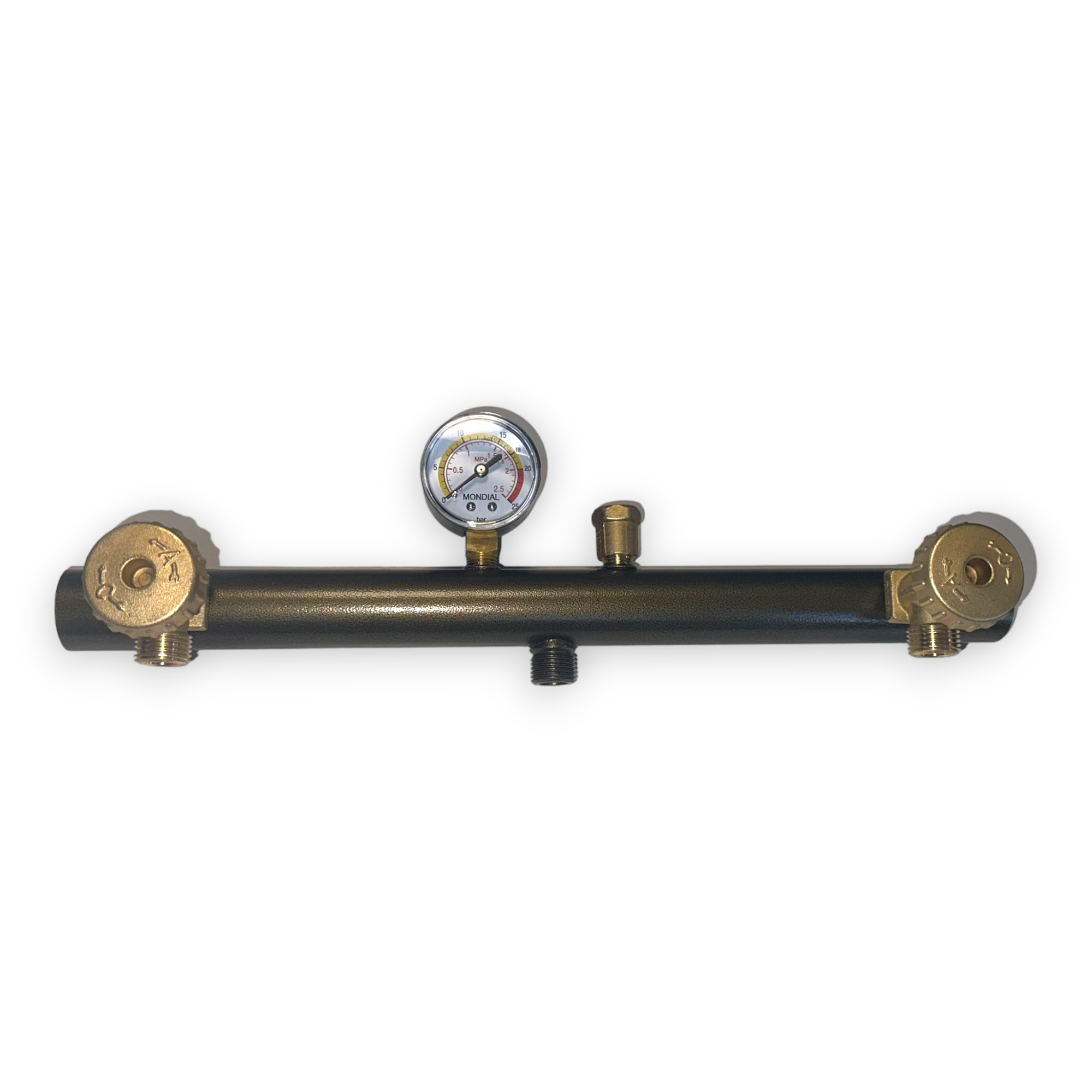 Centrale de contrôle du gaz GPL avec manomètre à deux éléments pour bouteilles