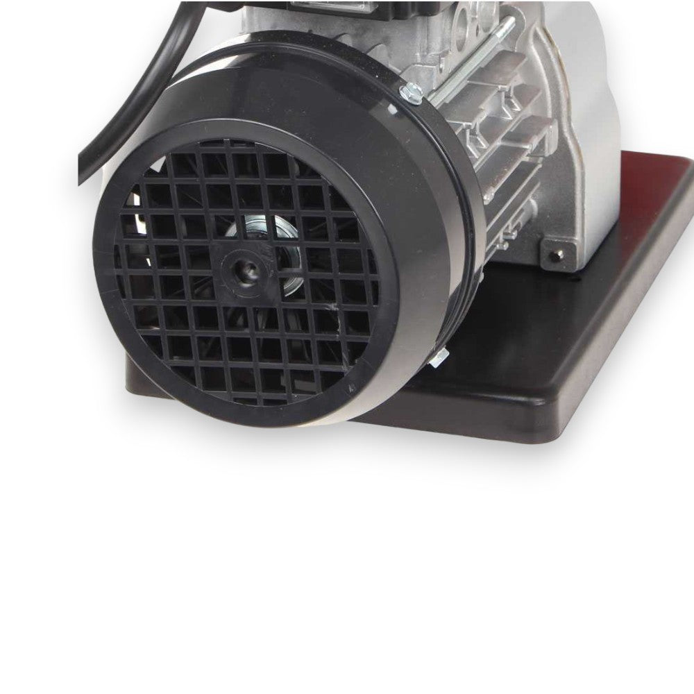 Presse-tomates électrique 300W en inox pour la cuisine