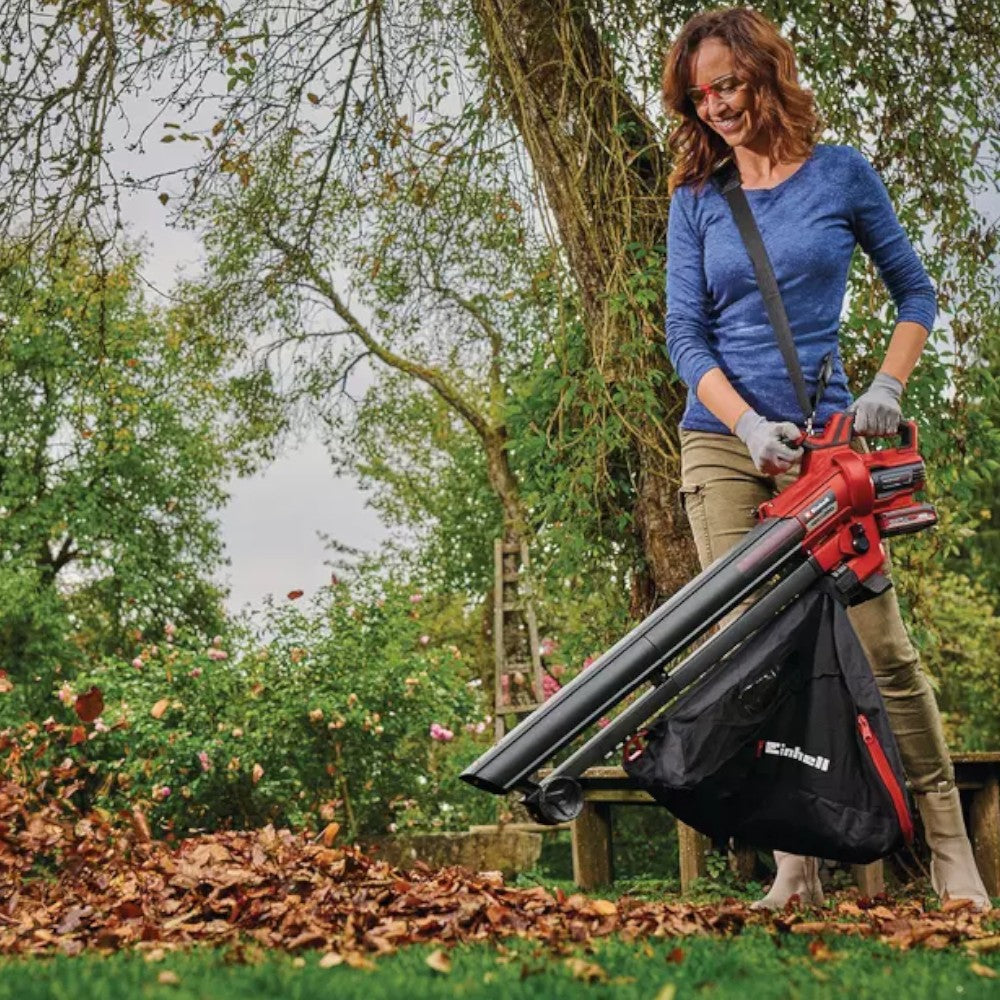 Aspirateur-souffleur à batterie 18 V avec poignée supplémentaire