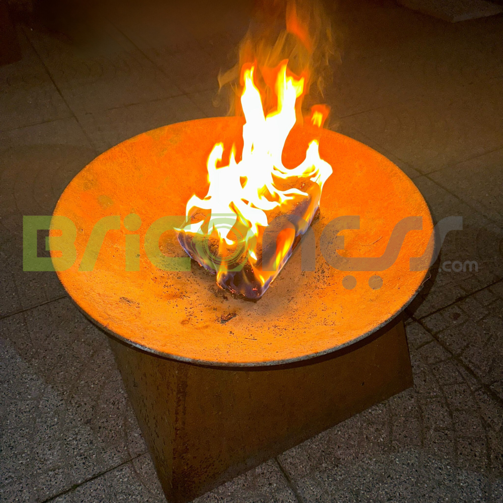 Bûches bûches avec boîtier allume-feu pour cheminées, poêles à bois, paquet de 10 pièces Optima