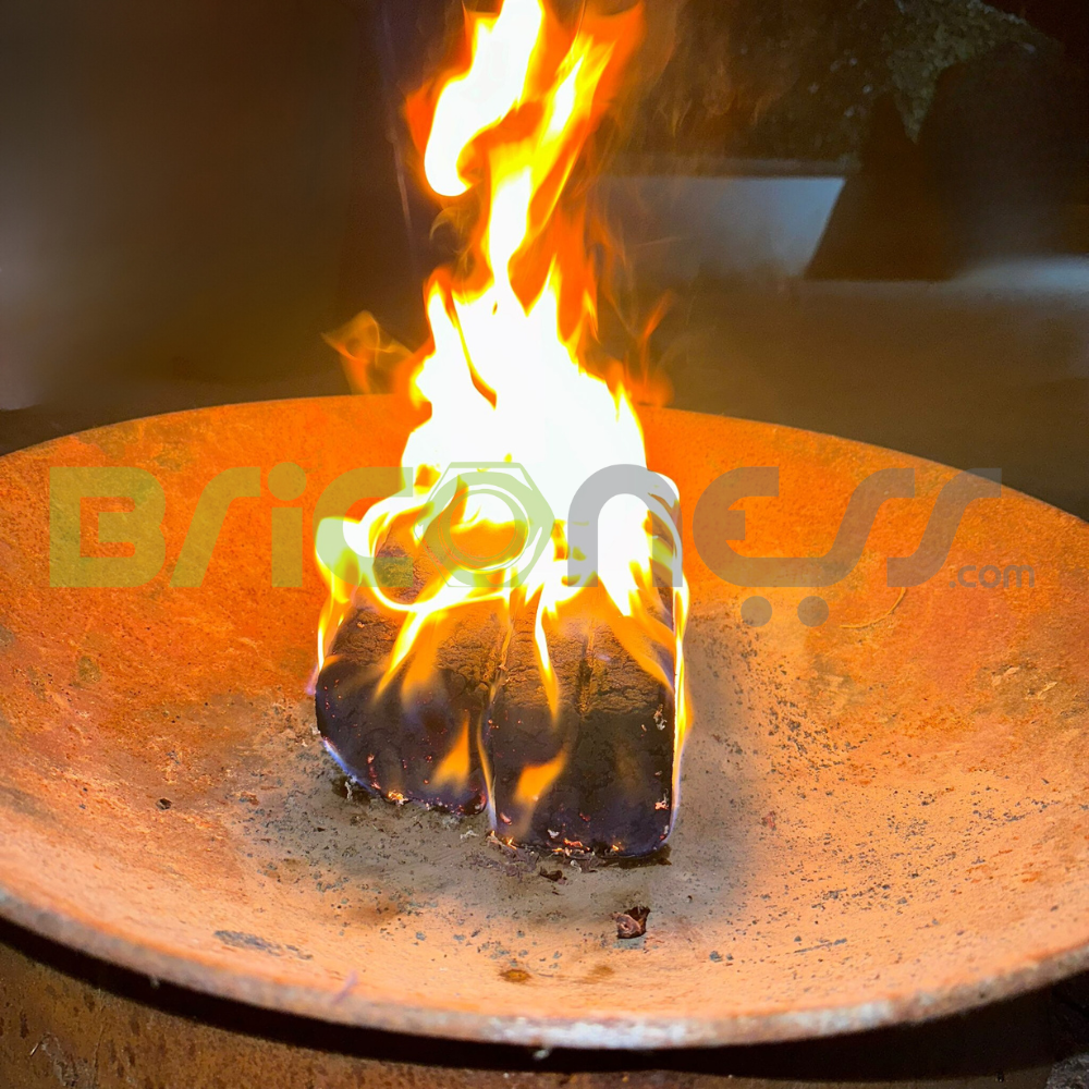 Bûches bûches avec boîtier allume-feu pour cheminées, poêles à bois, paquet de 10 pièces Optima