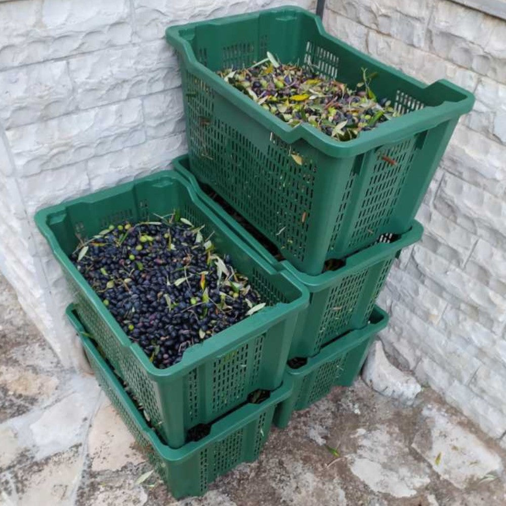 Caisse agricole ouverte pour collecte alimentaire en polyéthylène 40 lt 52x36x31 cm