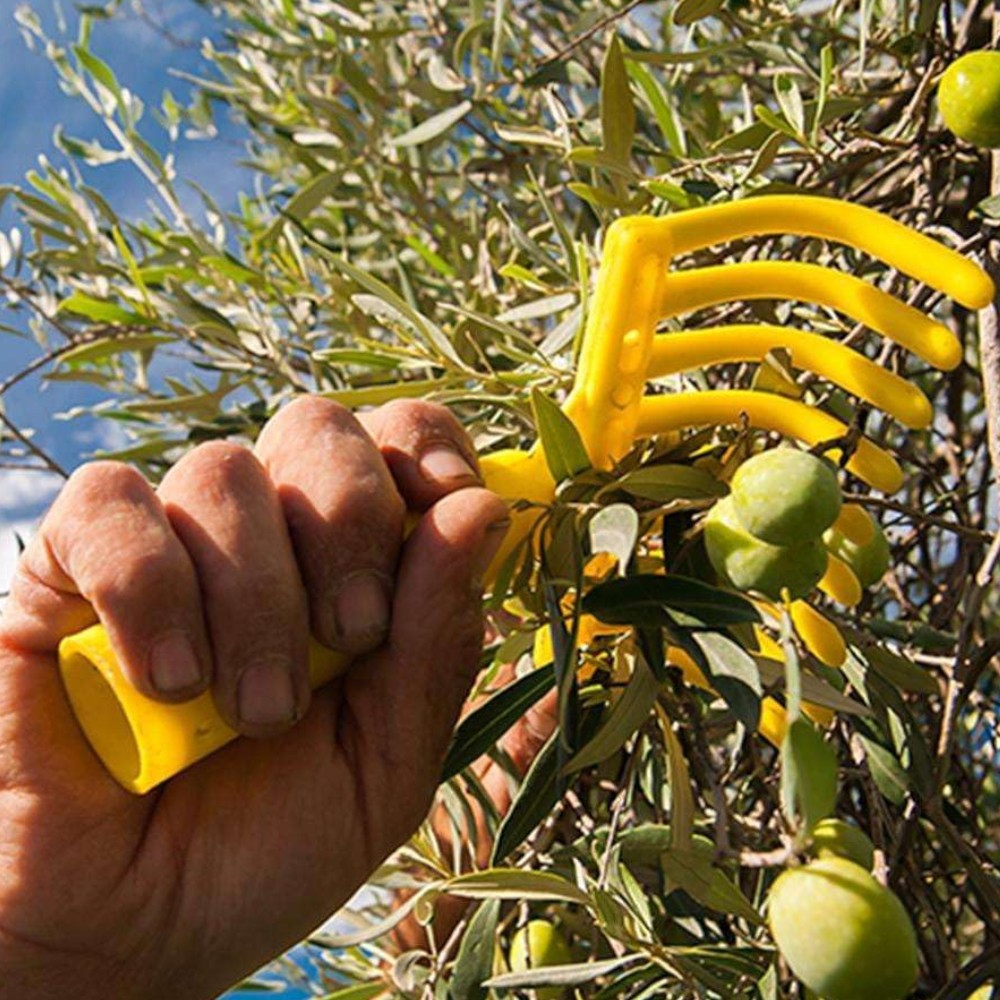Râteau à olives avec 9 dents en polypropylène