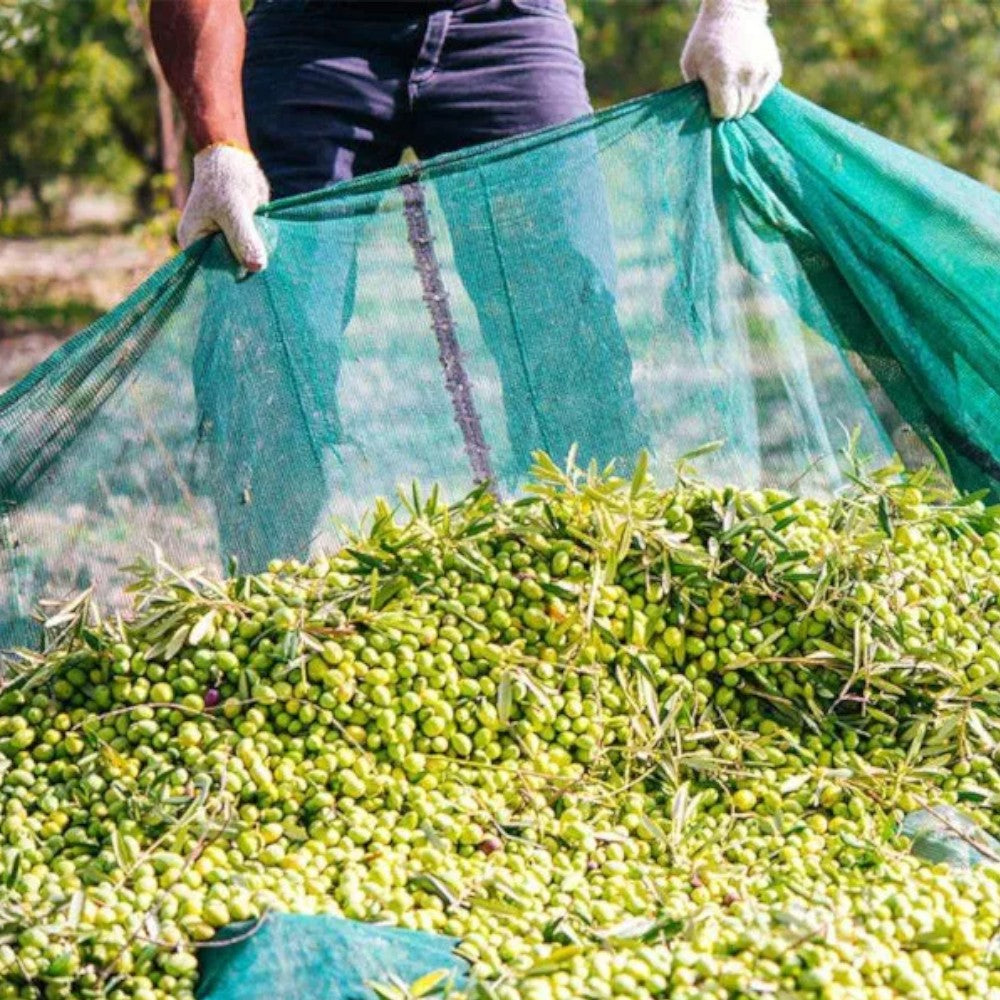 Rouleau de filet de récolte d'olives anti-épines avec bords en polyéthylène renforcé