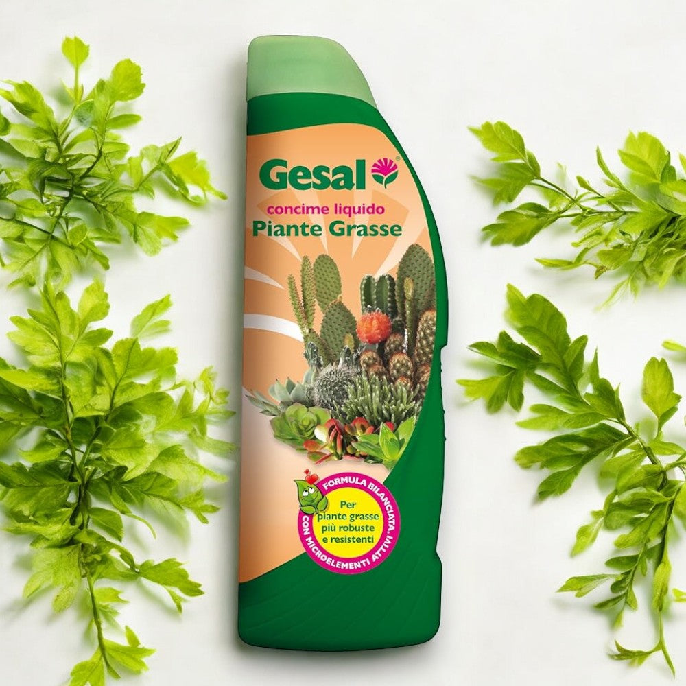 Engrais liquide pour plantes succulentes 250 ml