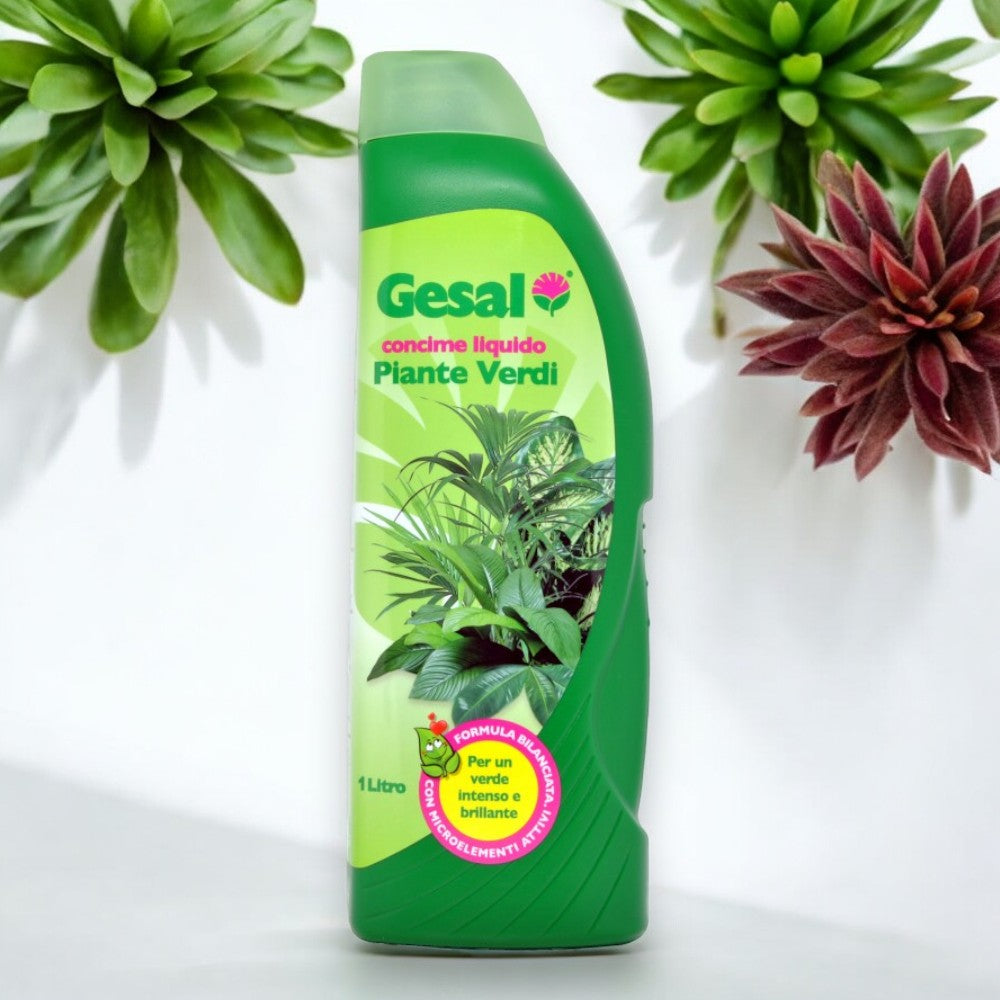 Engrais liquide pour plantes vertes 750 ml 