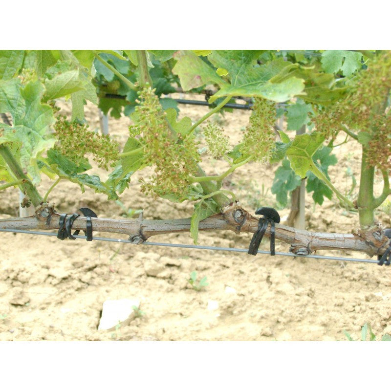 Attaches élastiques en EDPM pour tous types de plantes, paquet Bandofix 500 g 