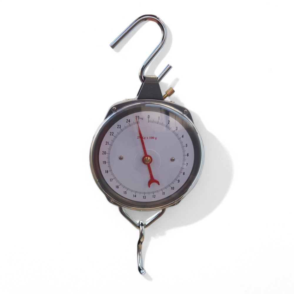 Bilancia a strappo in acciaio capacità 25 Kg/100 G