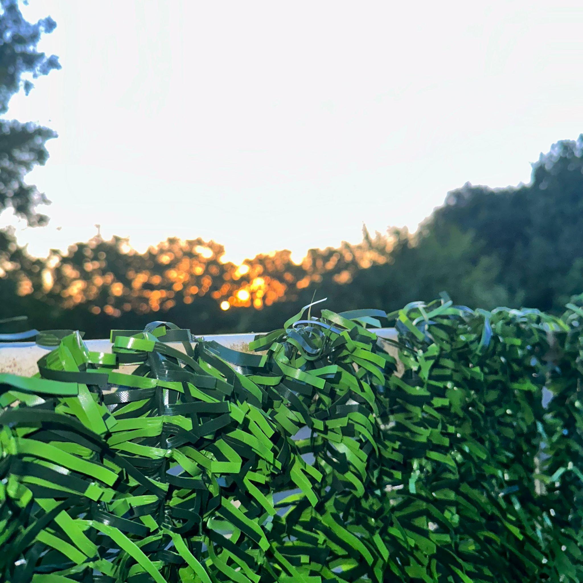 <transcy>Haie de clôture artificielle 1x3M Green Screen Basic</transcy>