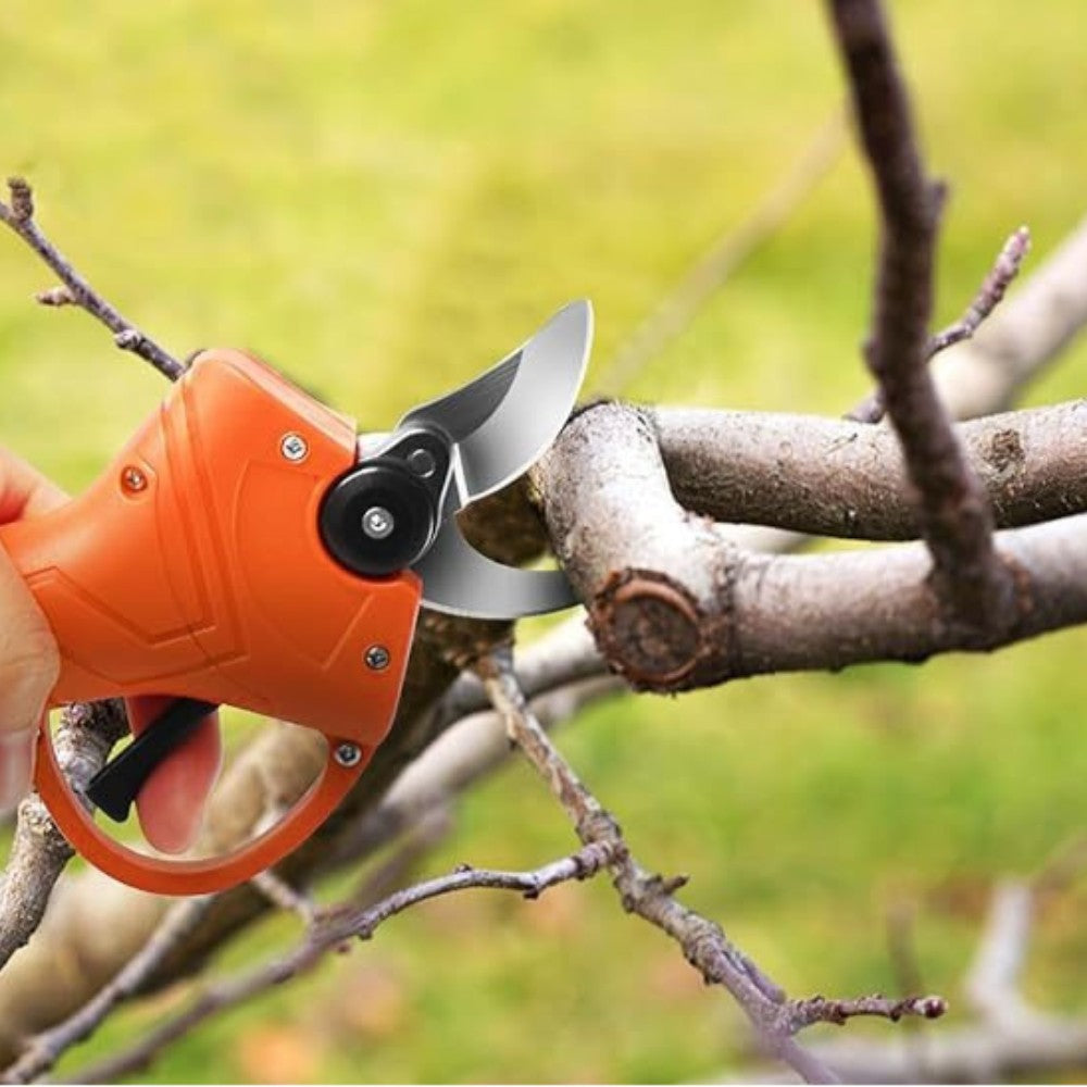 Forbici cesoia da pota con 2 batterie litio 2.0 Ah