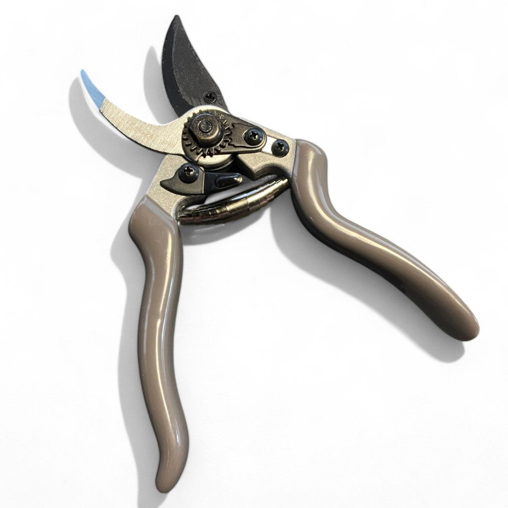 Ciseaux Pota Super Professional Ks-8T - 22 cm avec lame en acier recouvert de Téflon