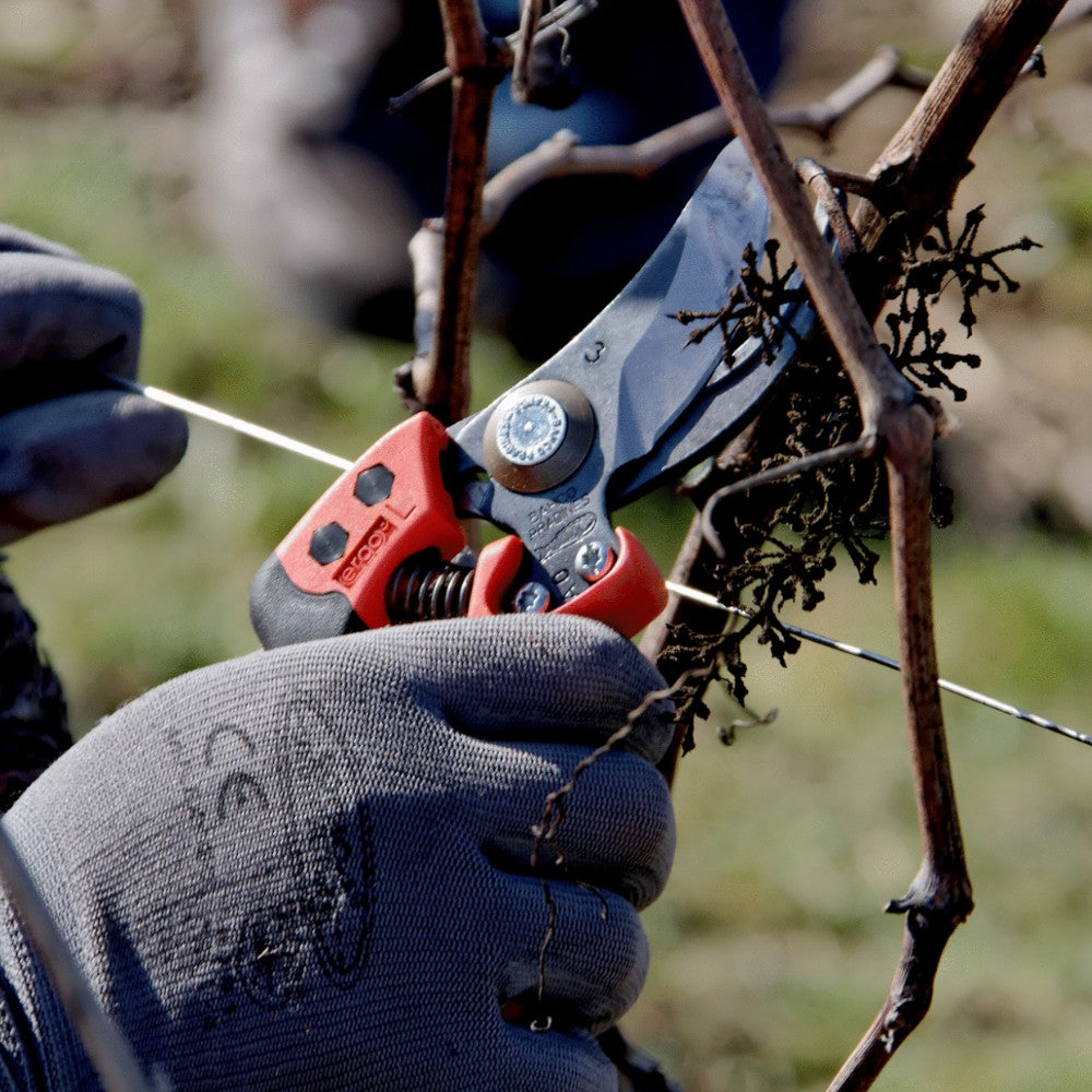 Sécateur professionnel en acier 20cm Pradines PX-M2-KA