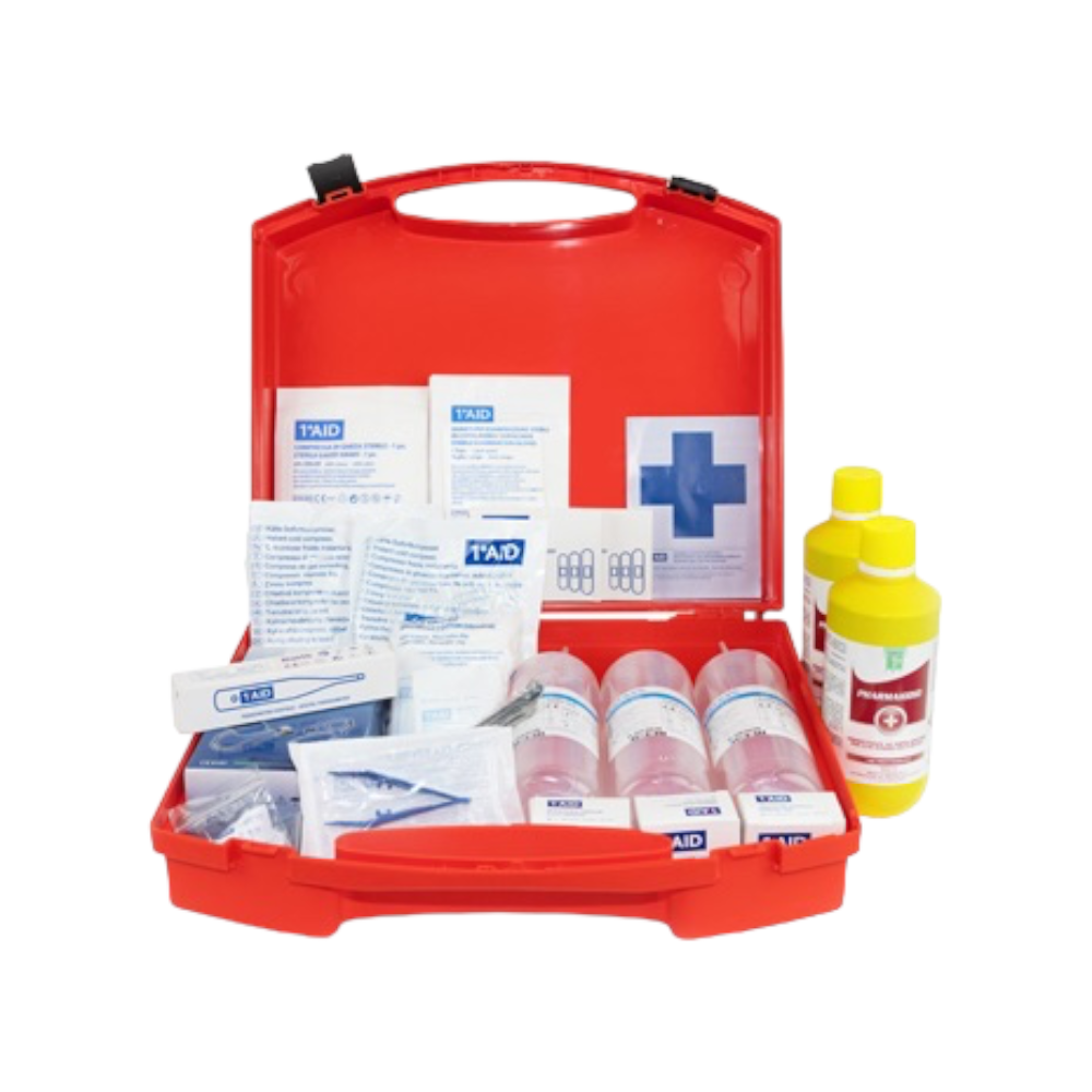 Trousse de secours en mallette avec 20 références AB 243