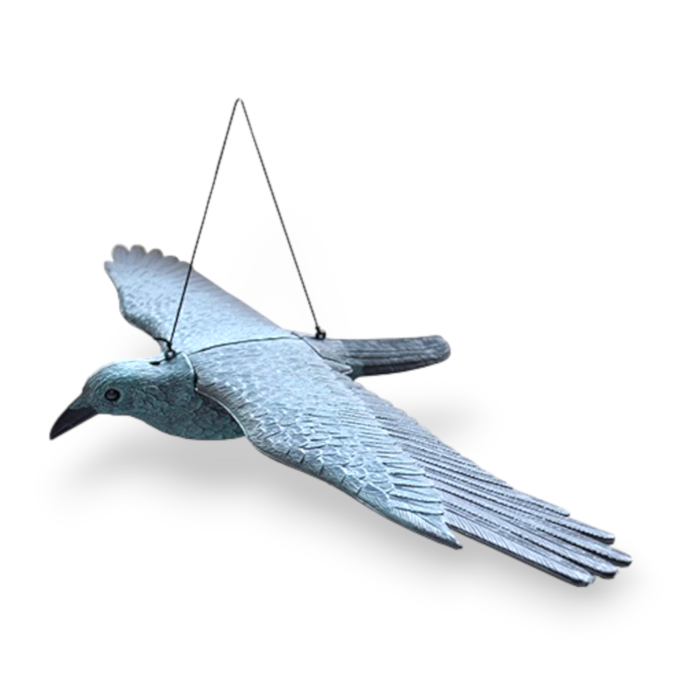 L'épouvantail dissuasif du corbeau volant repousse les oiseaux