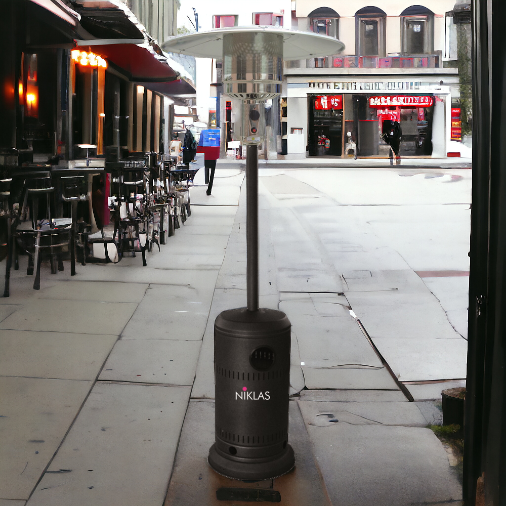 <transcy>Poêle à gaz thermopathique d'extérieur modèle champignon Niklas noir</transcy>
