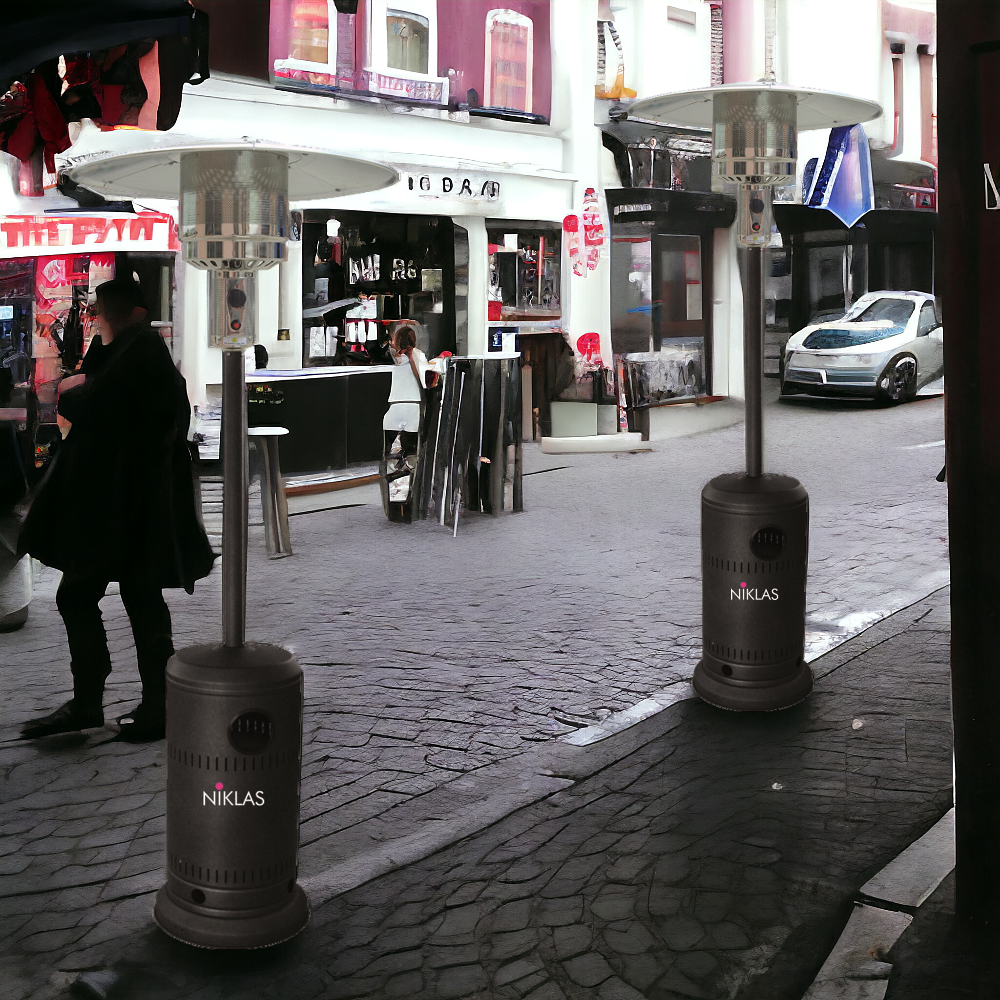 <transcy>Poêle à gaz thermopathique d'extérieur modèle champignon Niklas noir</transcy>