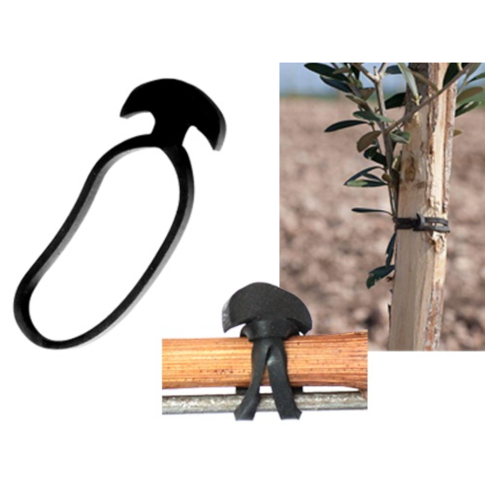 Attaches élastiques en EDPM pour tous types de plantes, paquet Bandofix 500 g 