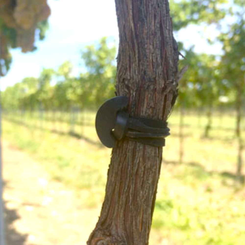 Attaches élastiques en EDPM pour tous types de plantes, paquet Bandofix 500 g 