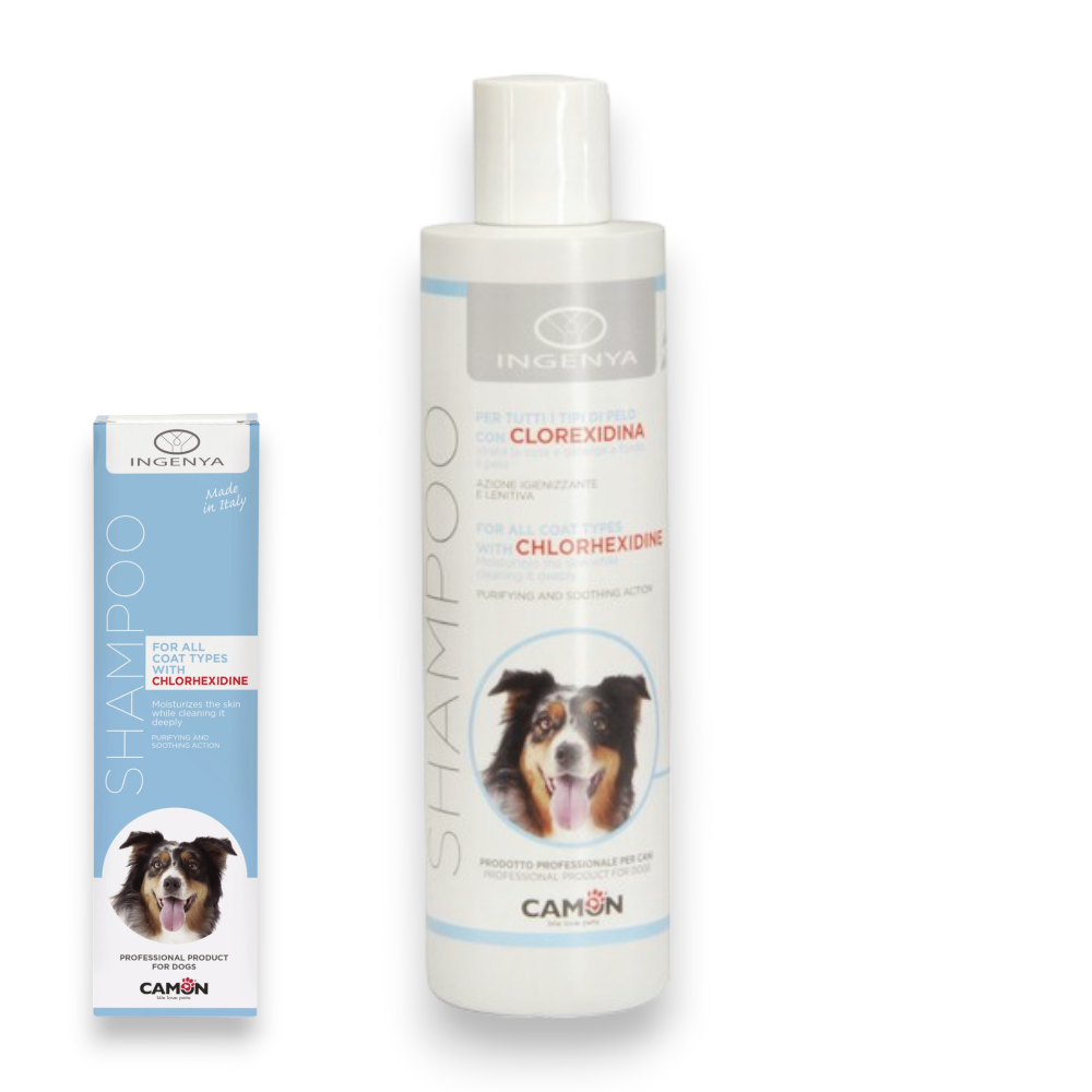 Shampoing 250 ml pour chien à base de chlorhexidine pour rendre le pelage brillant CAMON