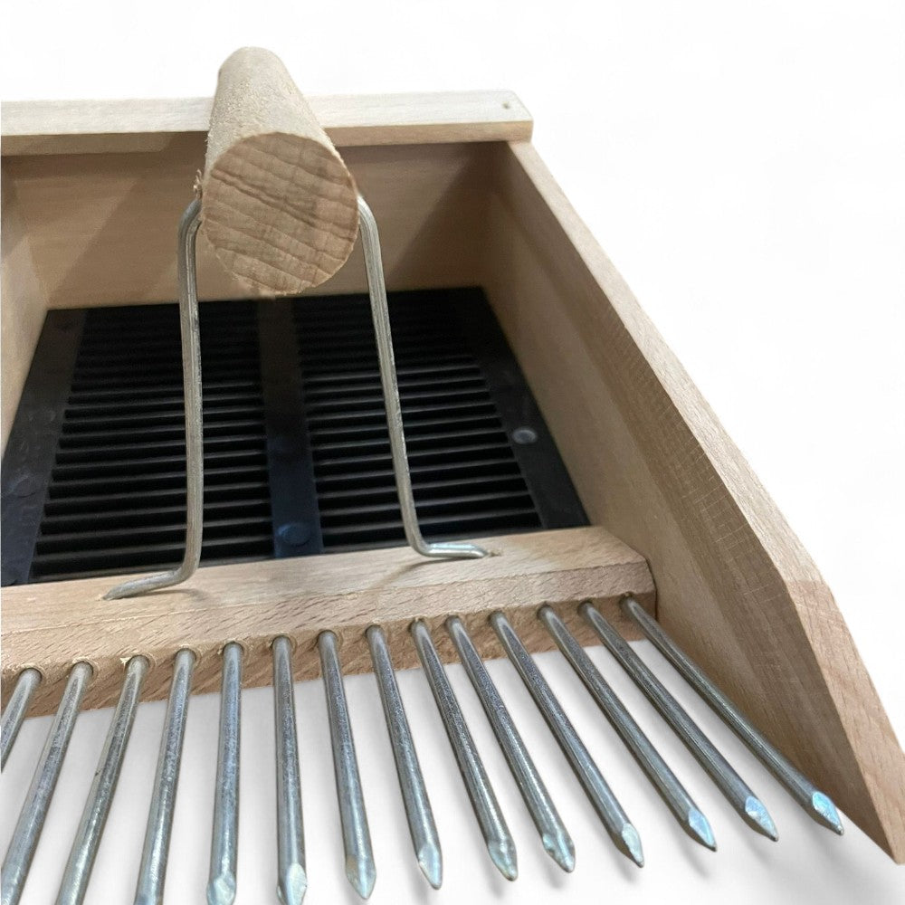 Cueillir des baies et des myrtilles en bois