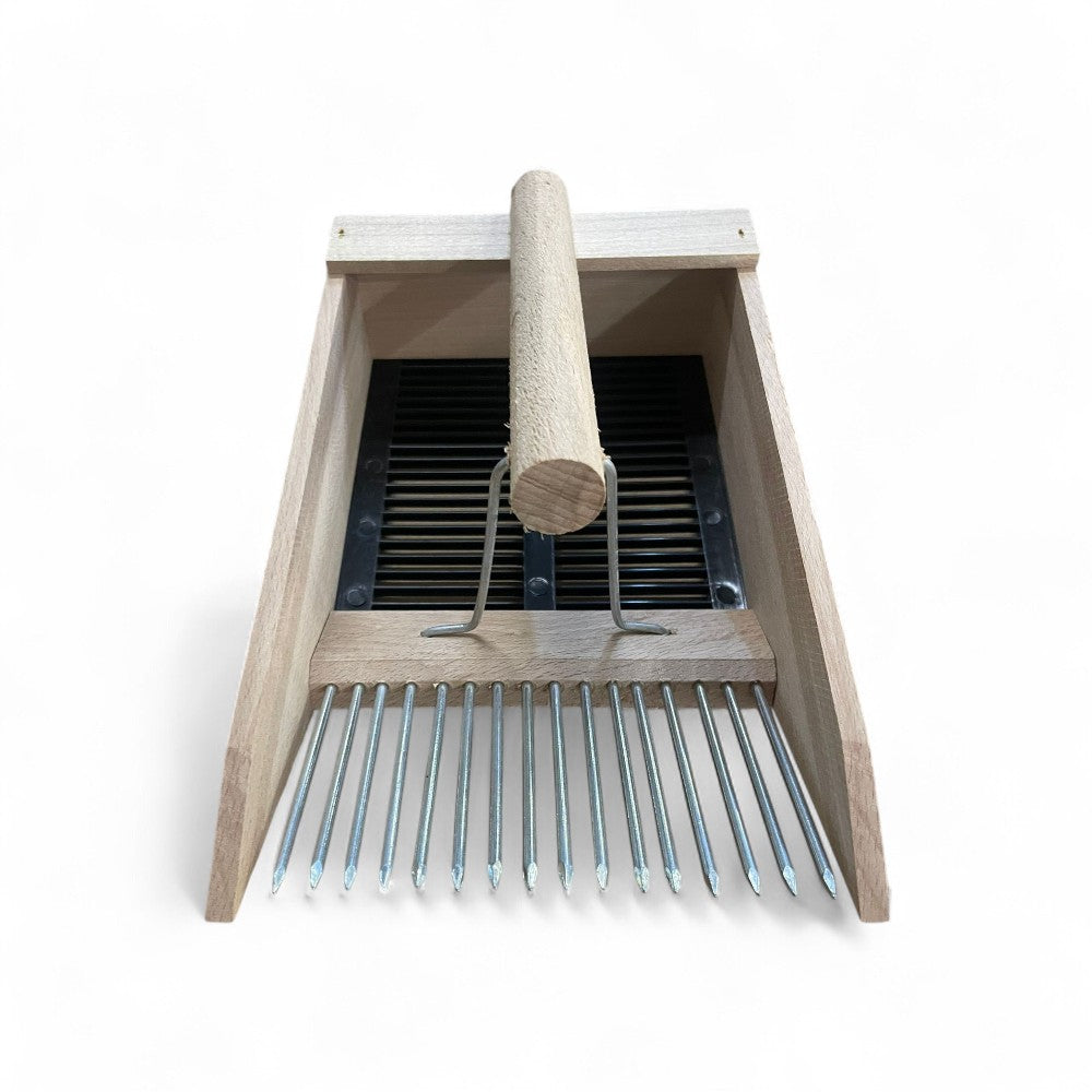 Cueillir des baies et des myrtilles en bois