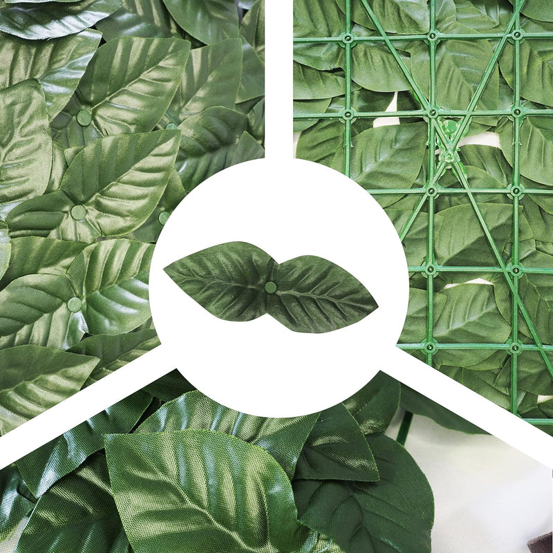 <transcy>Haie de Lierre Synthétique Basic avec Feuille de Lierre Vert 1,5x3M Garden Deluxe Collection</transcy>