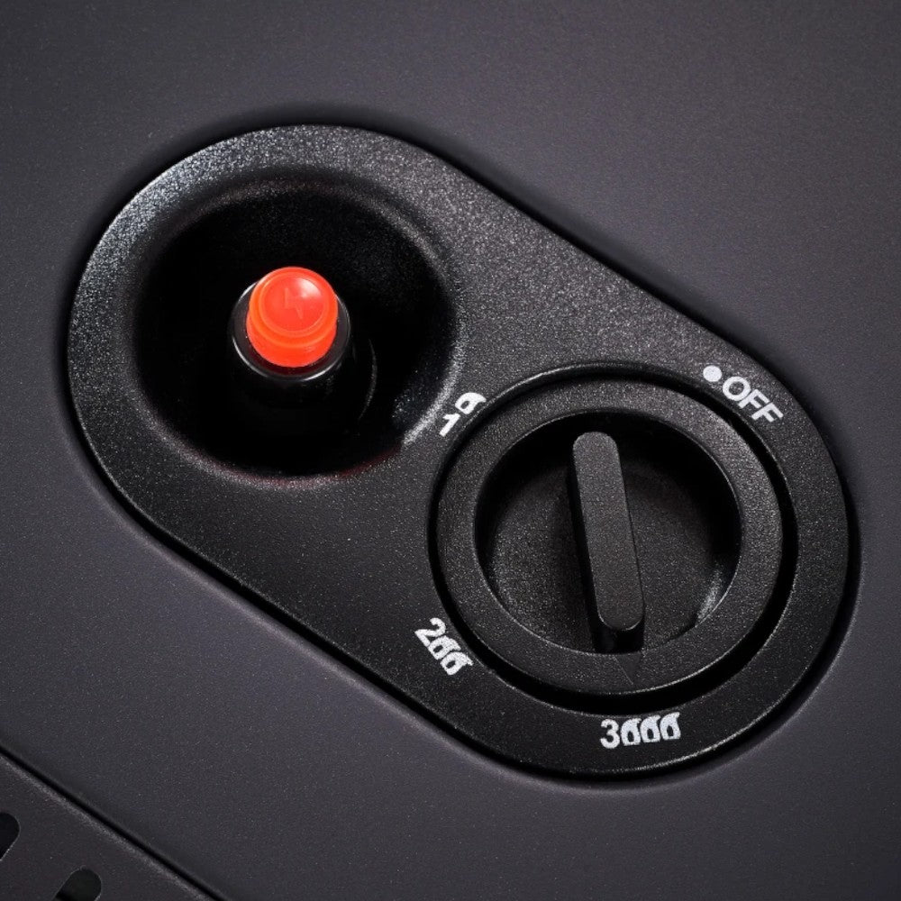 Stufa gas fiamma realistica con carbone finto 3400W