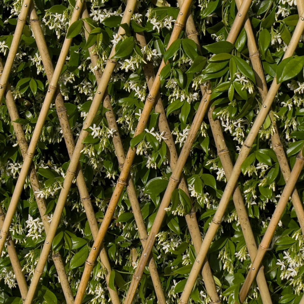 Traliccio in canne di bamboo estensibile per terrazze e balconi