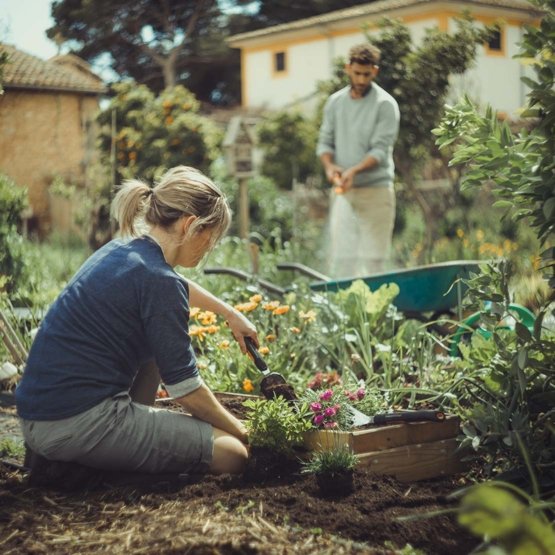 Trapiantatore paletta per piantare ed estrarre piante nei terreni duri XACT Fiskars