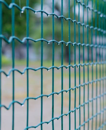 Rete elettrosaldata zincata e plastificata per recinzione animali con maglie 50,8x50,8 mm Rotolo 25 mt