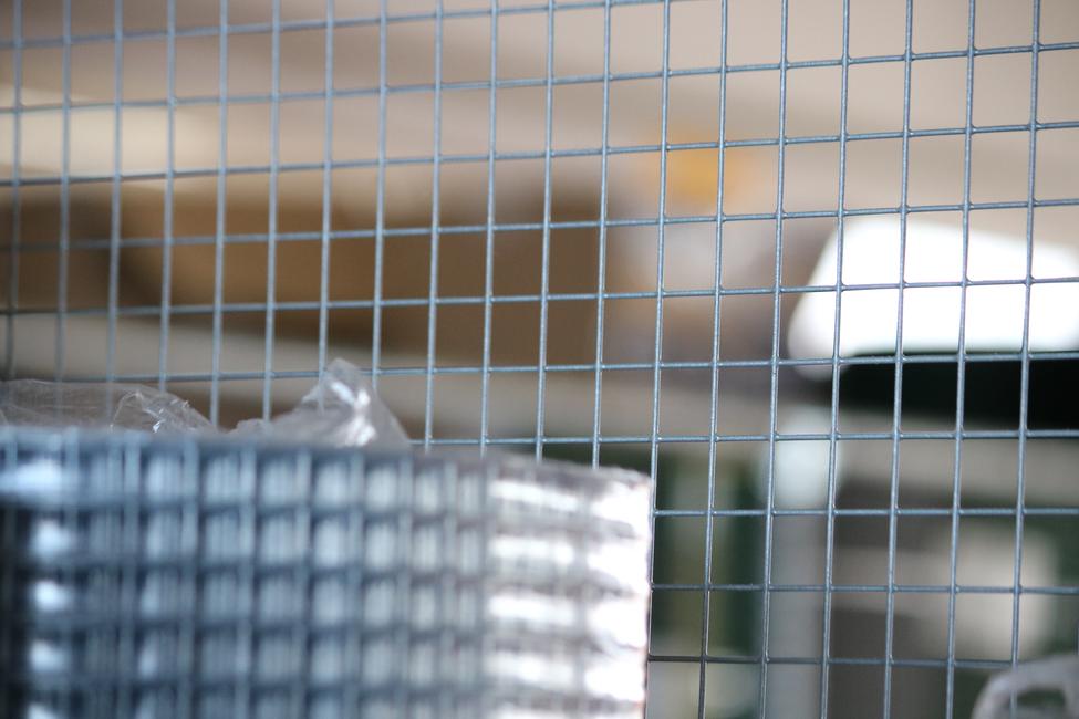 Rete elettrosaldata per recinzione con triplice strato di zinco nella saldatura maglia 12x12 Rotolo 25 mt