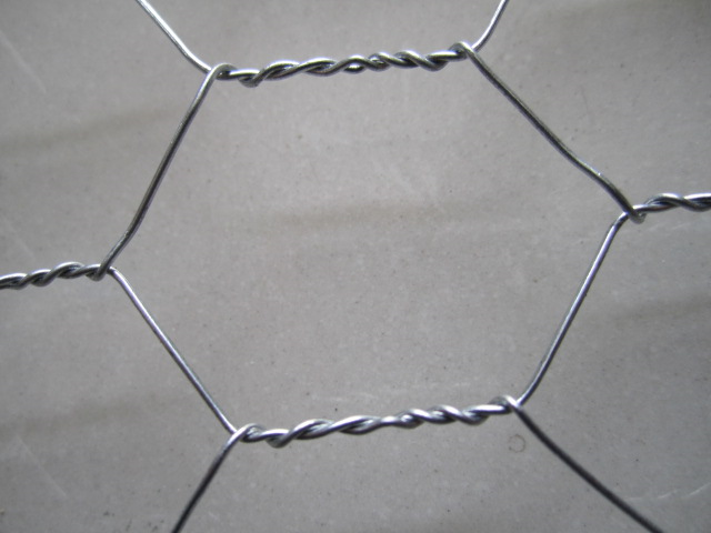 Rete per recinzioni animali filo a tripla torsione con tripla zincatura maglia esagonale 13 mm Rotolo 50 mt