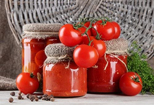 Passapomodoro spremipomodoro elettrico TS inox a cinghia e tavolo Palumbo
