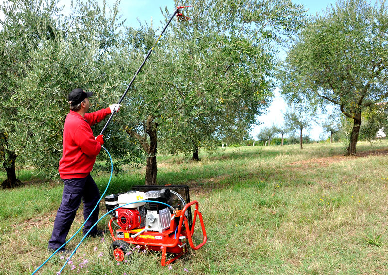 Motocompressore carrellato per scuotitori ad aria compressa per raccolta olive