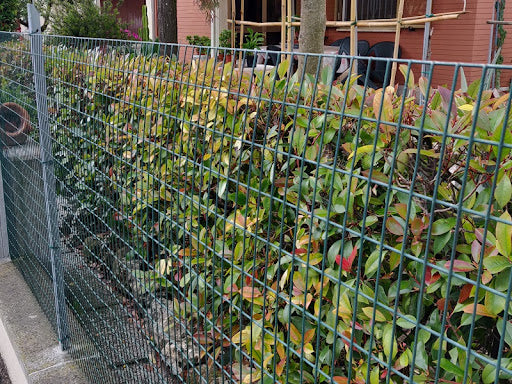 Rete elettrosaldata per recinzioni animali zincata e plastificata verde muschio con maglia 76x51 mm Rotolo 25 mt