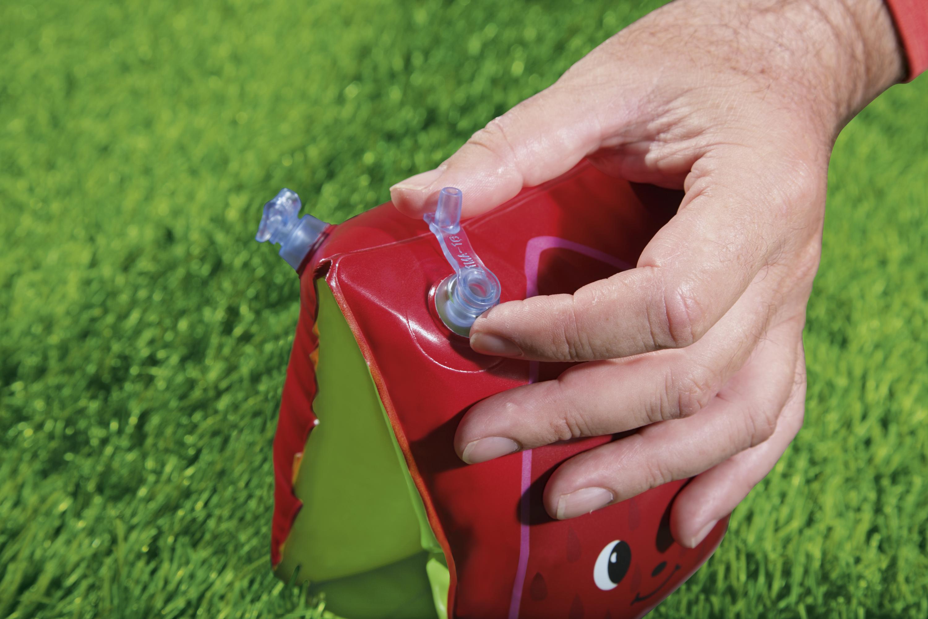 Braccioli baby Frutta fragola ananas Bestway 32042