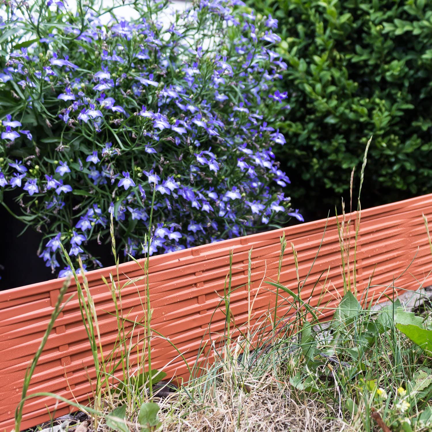 Bordura da giardino per aiuole in resina confezione 5 pezzi