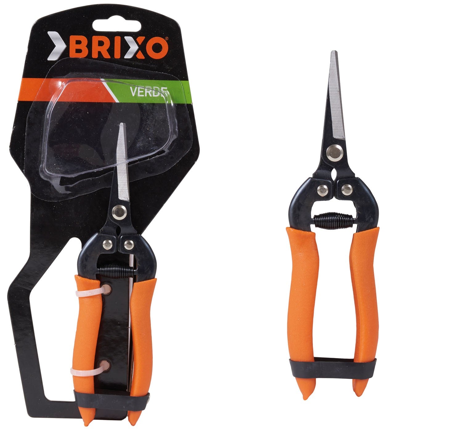 Forbici ortofrutta cogliuva lama retta in acciaio 18cm Brixo