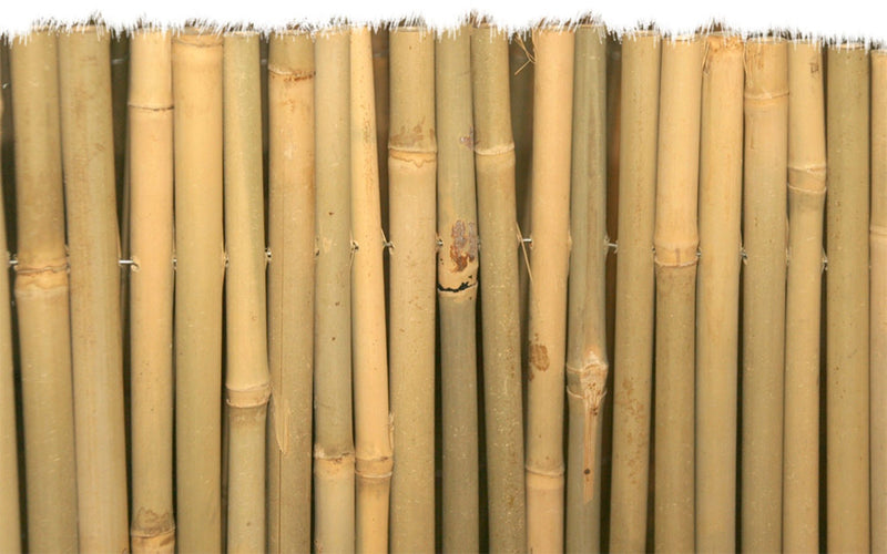 Arella in cannette frangivista di bamboo pulita Master 15mm Garden Deluxe Collection