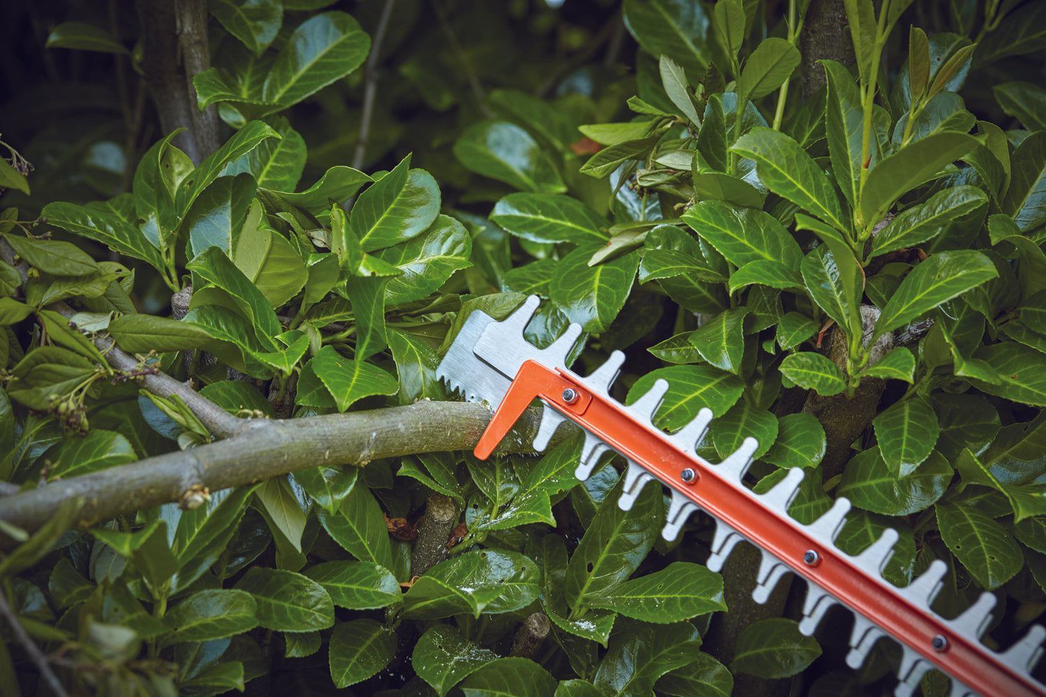 Tagliasiepi 500 W con lama seghettata 50 cm Black+Decker BEHTS 301