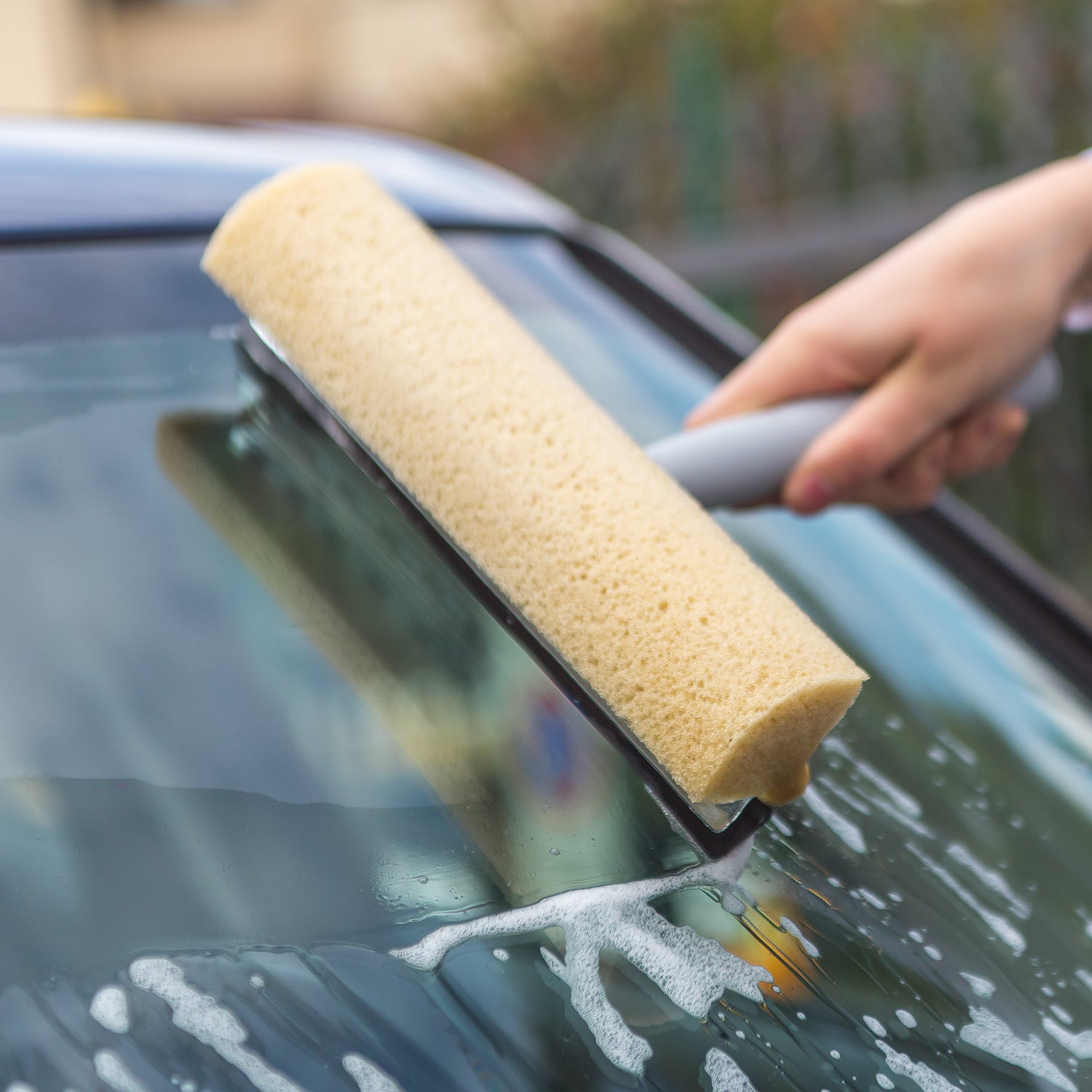 Pulivetro con spugna e gomma per casa e auto