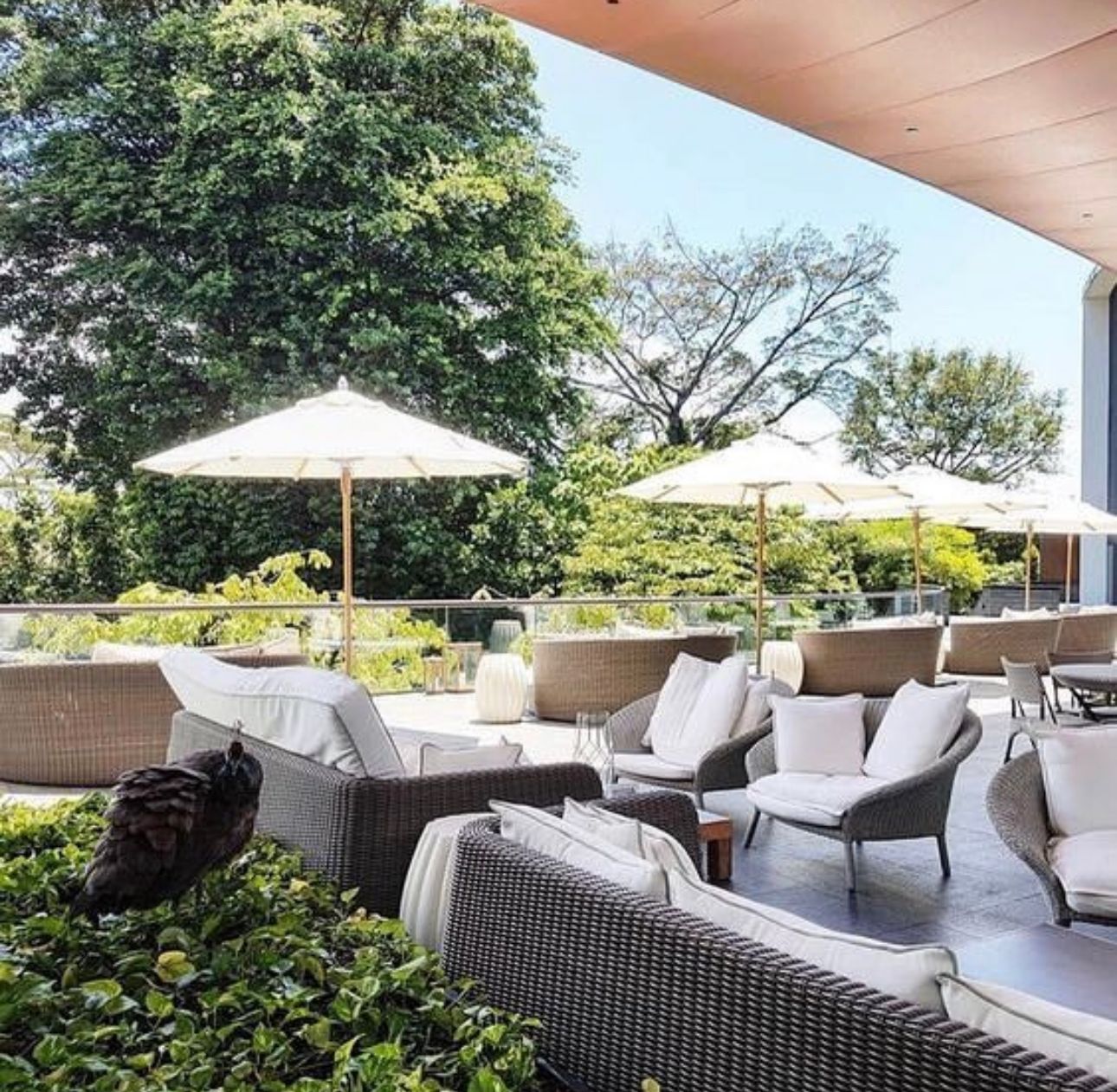 Ombrellone da giardino in legno tondo 250 cm Garden Deluxe Collection