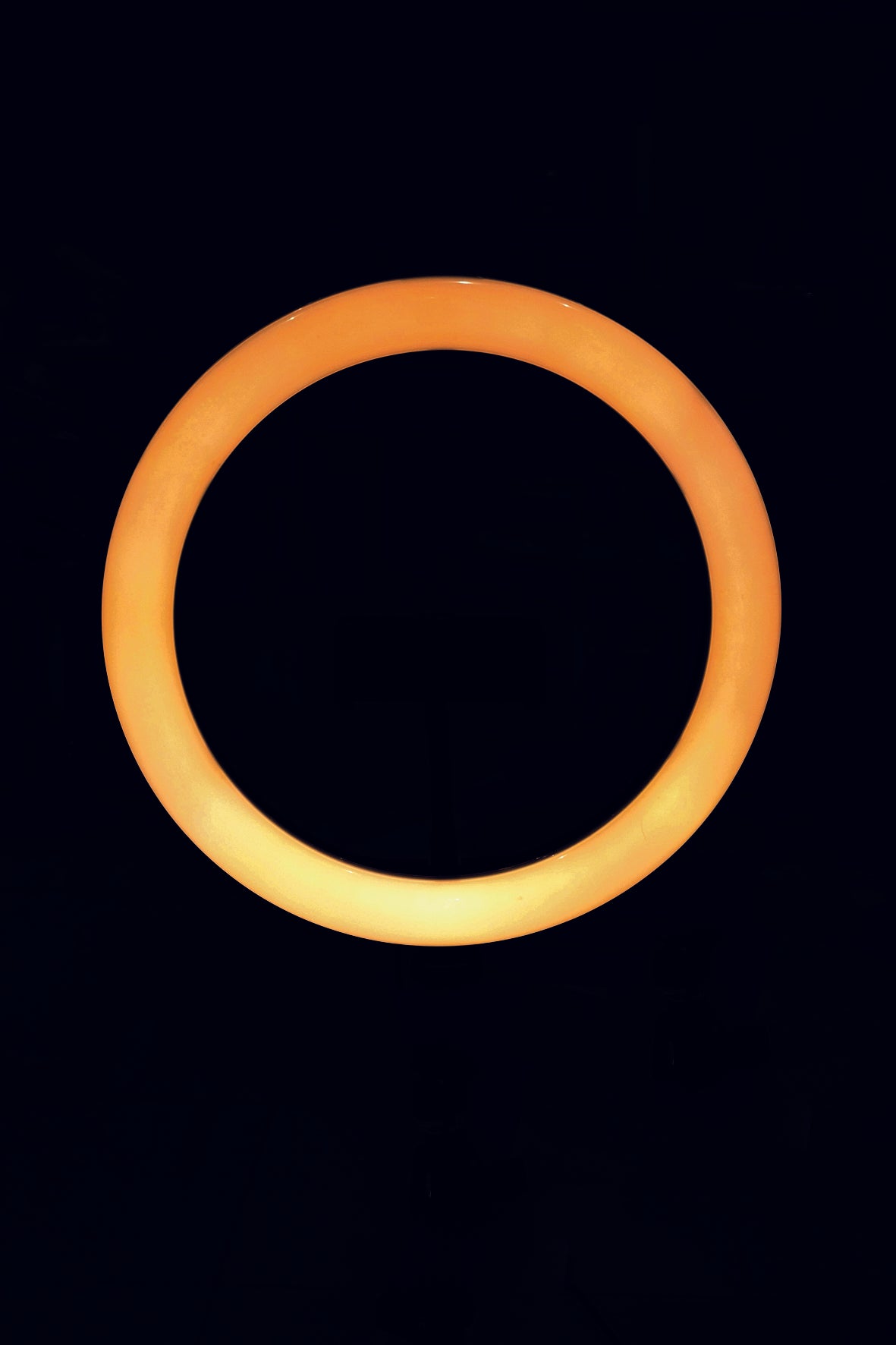 Ring Light Lampada per selfie 128 led  supporto per smartphone 