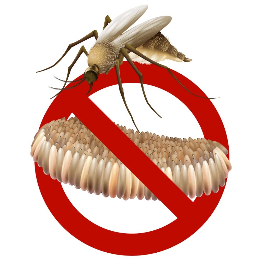 Insetticida a compresse anti trasformazione di larve in zanzare per acque tombini sottovasi MAYER