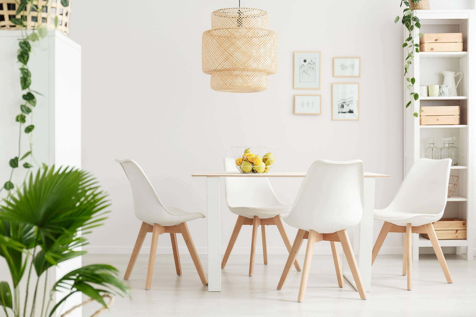 Sedia da interno in legno e materiale plastico con seduta imbottita Gary